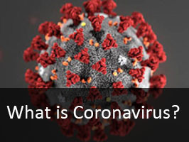 what is coronavirus